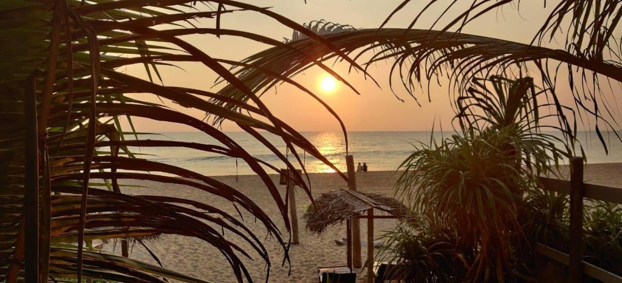 Sailors' Bay Bed & Breakfast ฮิกคาดูวา ภายนอก รูปภาพ